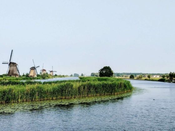 Windmühlen bestaunen beim Angeln in Holland