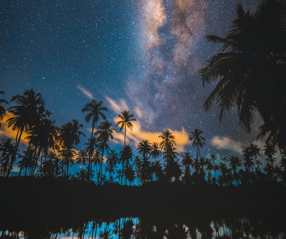 Sternenhimmel über Palmen auf den Malediven