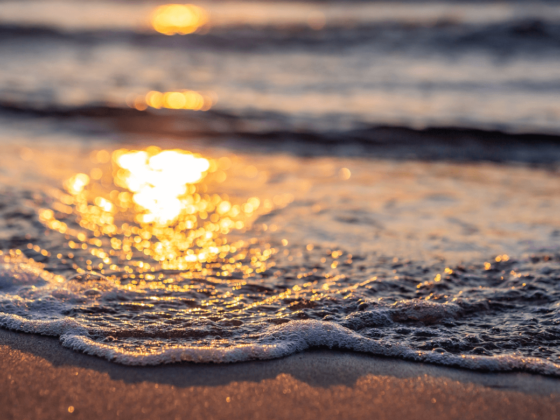 Sonnenuntergang der sich in der Wasseroberfläche des Meeres am Strand spiegelt
