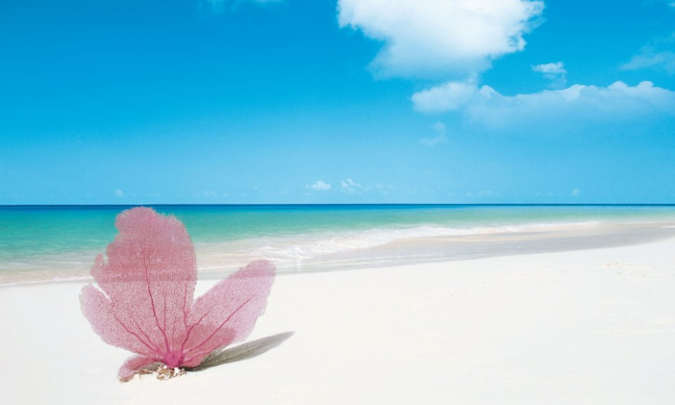 Las mejores playas del mundo, Playa Paraíso