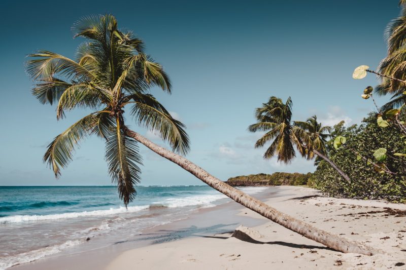 playa desierta en Martinica