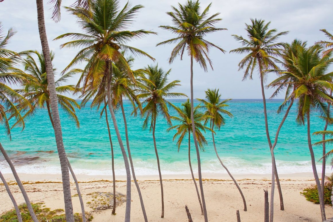Destino de sol, playa y palmeras para los festivos de 2022.
