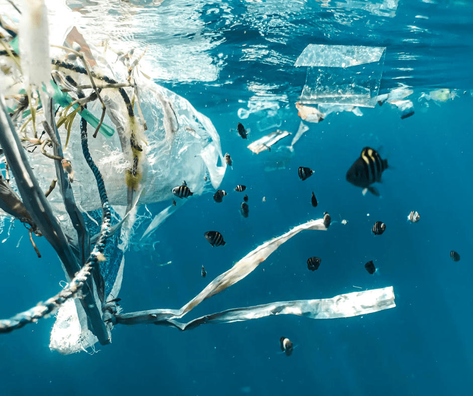 Peces nadando entre la suiciedad que deja los plásticos en el mar