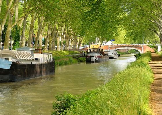 fleuve canal du midi