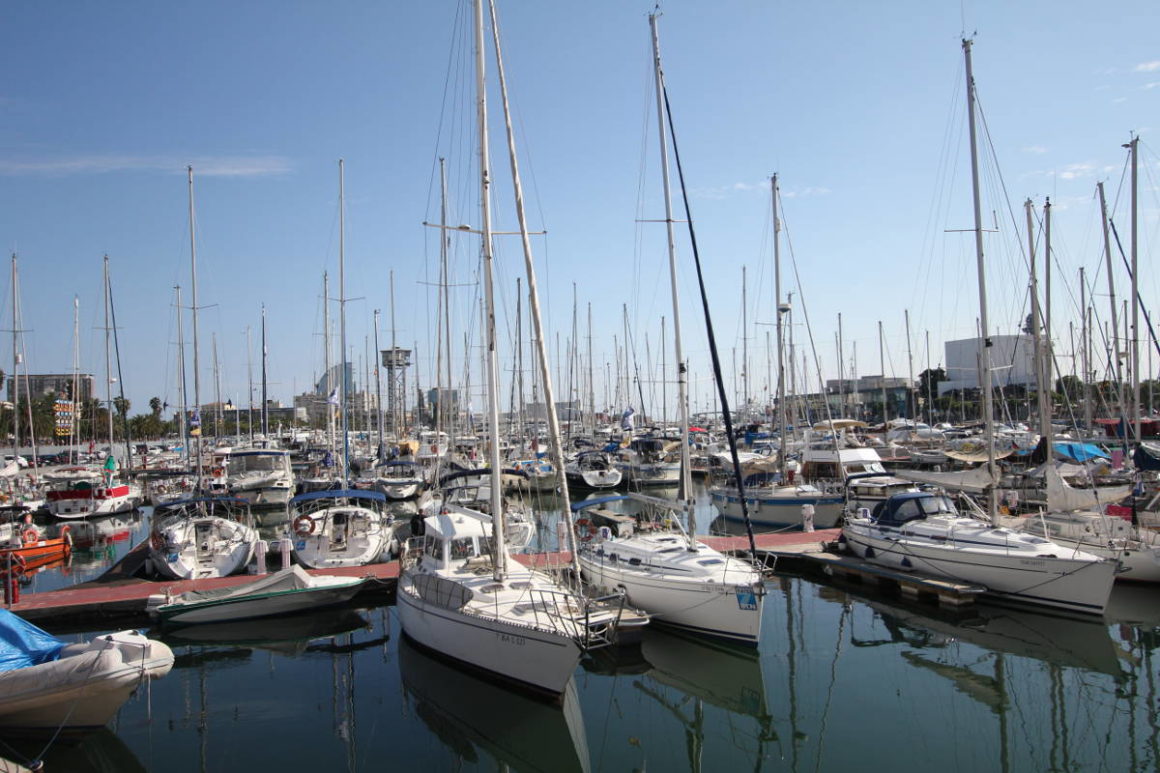 Many sailboats anchored in a harbour
