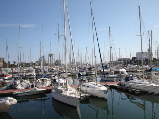 Many sailboats anchored in a harbour
