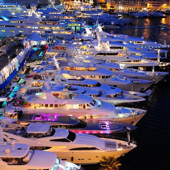 Many motor yachts docked in a port, Miami Nautal