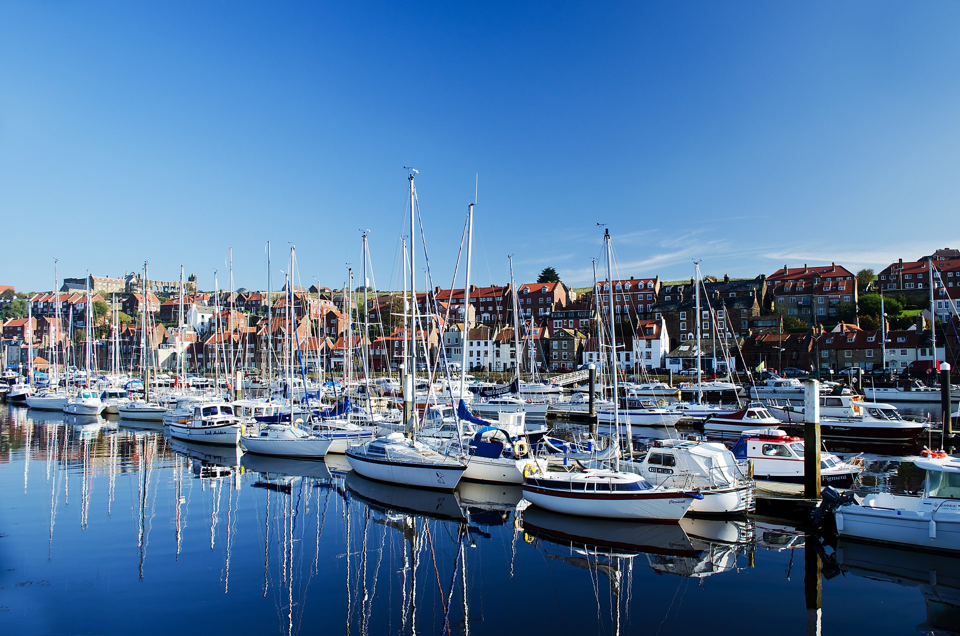 Boats in a marina, choose the perfect boat