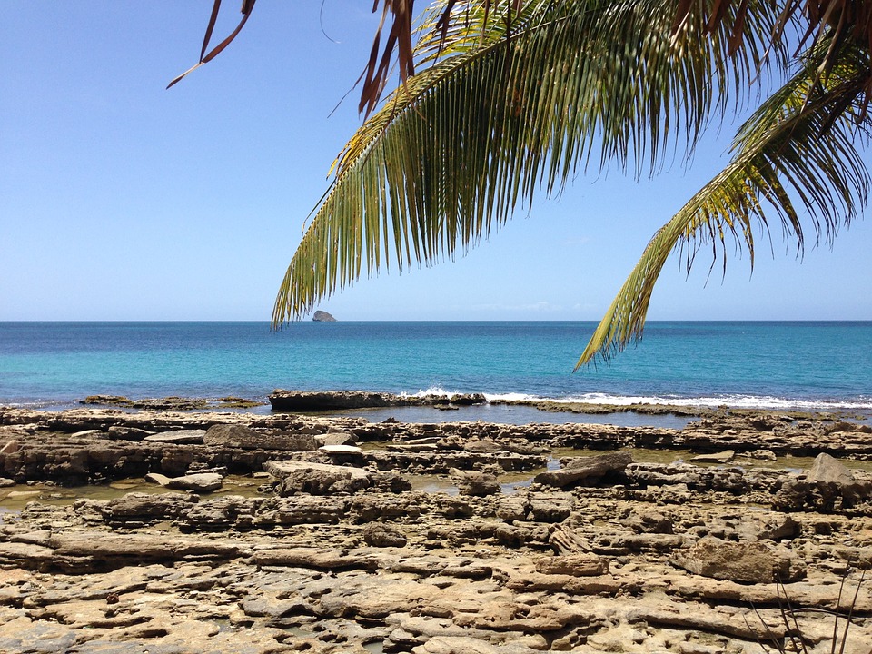 Discover stunning coasts on your boat charter in Guadeloupe