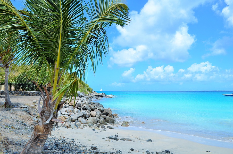 Beach on the sailing route in Martinique