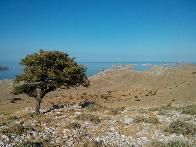 Otok Kornat just south of Šibenik