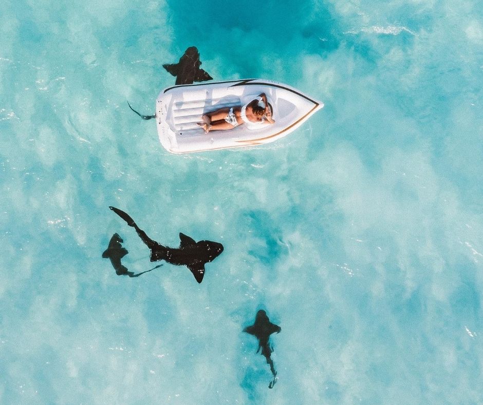 Floating over nurse sharks in the Bahamas on Great Exuma.