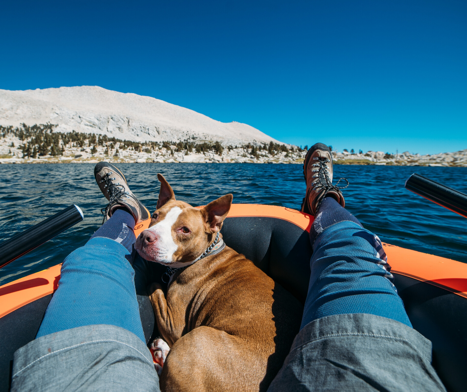 Sailing with your best friend