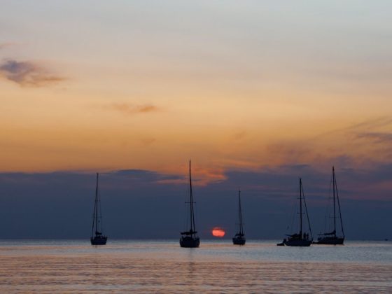 many boats anchoring in menorca on the sunset