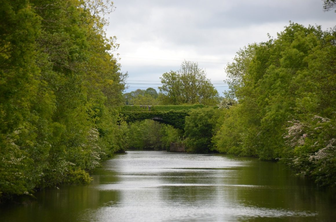 A picture of the Shannon, one of the best rivers for houseboating in Ireland.