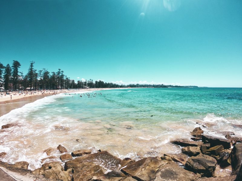 Manly beach, famous for surfing and its Sealife Sanctuary.