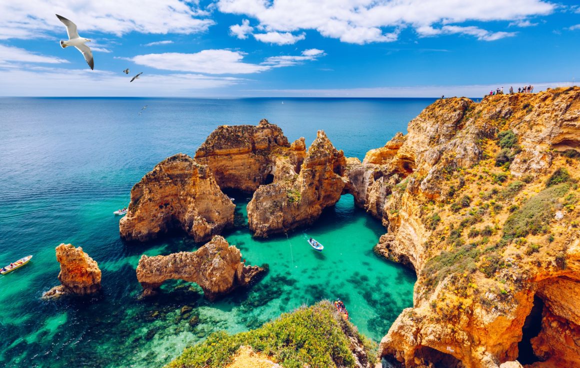Panoramic view of rocks and a seagull in Algarve near Lagos, Portugal