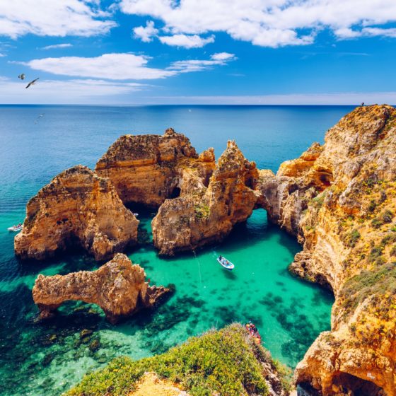Panoramic view of rocks and a seagull in Algarve near Lagos, Portugal
