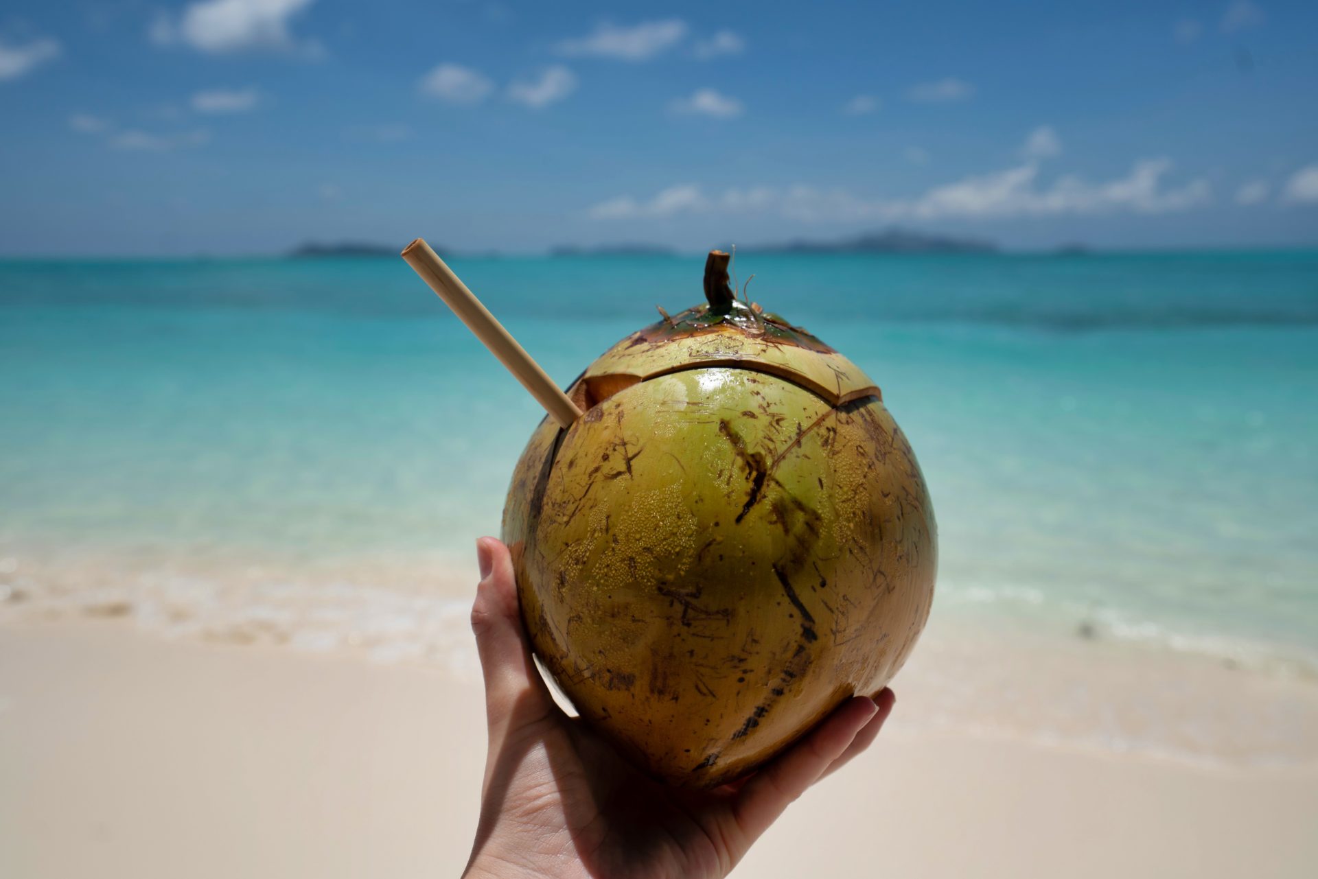 Coconut being held on the beach during a Caribbean culinary boat charter