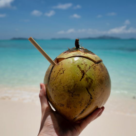 Coconut being held on the beach during a Caribbean culinary boat charter