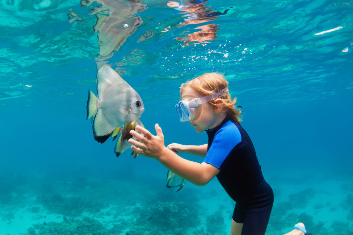 Kid snorkeling under the water looking at a tropical fish 